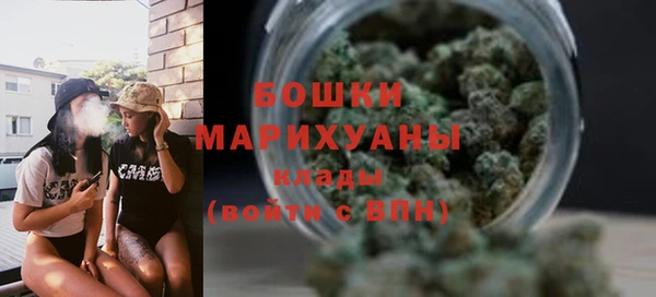 мдпв Лагань