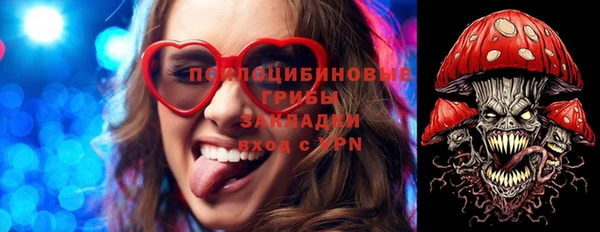 мдпв Лагань
