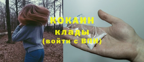 мдпв Лагань