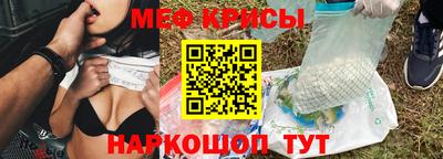 стафф Камышлов