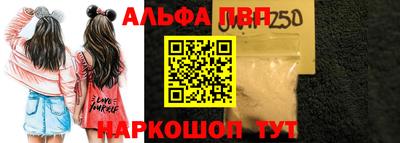 стафф Камышлов