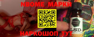 стафф Камышлов