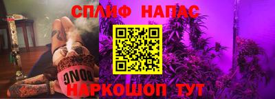 стафф Камышлов