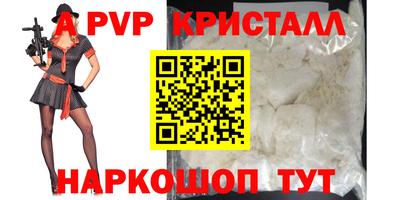 стафф Камышлов