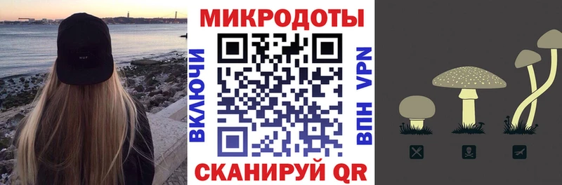 МЕГА как зайти  Чернушка  Галлюциногенные грибы мицелий 