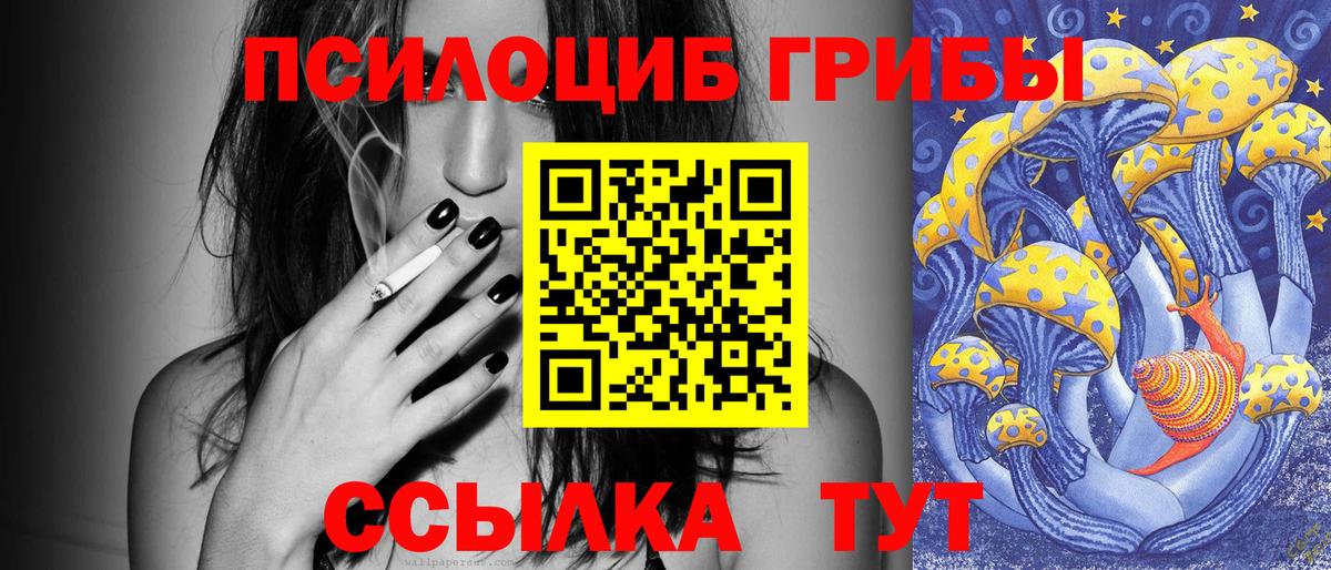 Псилоцибиновые грибы Magic Shrooms Чернушка