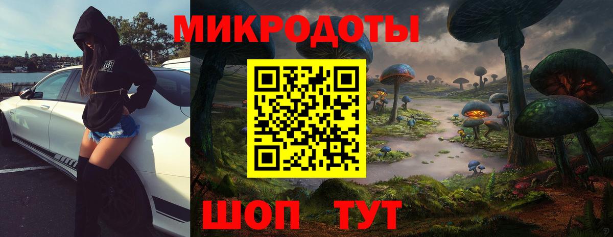 Псилоцибиновые грибы Magic Shrooms  Псилоцибиновые грибы мицелий  Вход с VPN  Чернушка 